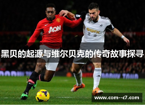 黑贝的起源与维尔贝克的传奇故事探寻