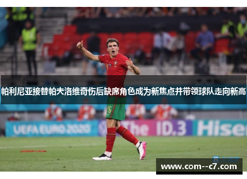 帕利尼亚接替帕夫洛维奇伤后缺席角色成为新焦点并带领球队走向新高