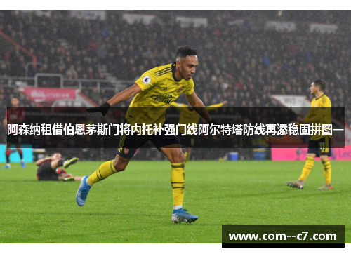 阿森纳租借伯恩茅斯门将内托补强门线阿尔特塔防线再添稳固拼图一