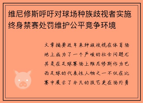 维尼修斯呼吁对球场种族歧视者实施终身禁赛处罚维护公平竞争环境